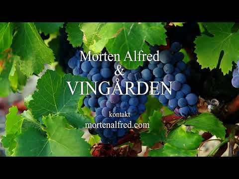 Morten Alfred & Vingården: Vals til en Gammel Svensk Dame