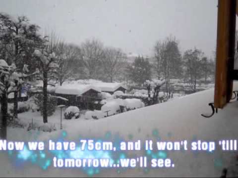 Bologna, snowing on 04-02-2012