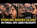 Aljamain Sterling, Henry Cejudo Get Physical In Final UFC 288 Faceoff | MMA Fighting