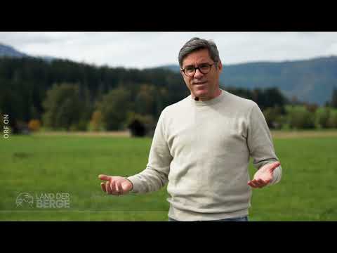 Land der Berge: Der Grimming und die Ennstaler Almen (2024)