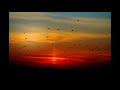 08-Still The Storms - Ziggy Marley live at The Catalyst, Santa Cruz, CA, USA, 19-10-2006