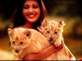 Old ADD Break Song Tum Husn Pari Tum Jaane Youtuber ️ Sonali Bendre Nirma Youtubeshorts
