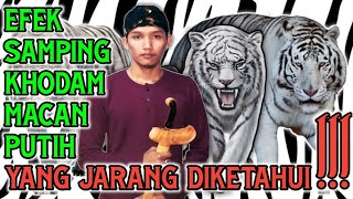 Download lagu Penting ‼️ Harus Tau Efek Samping Khodam Macan Putih mp3