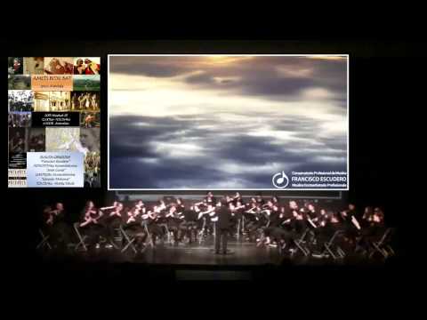 Amets bitxi bat   6 - Bat Hacarmel