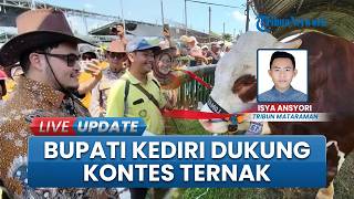 Target Terbaik se-Jatim, Mas Dhito Dorong Kontes Sapi Kediri Digelar Rutin: Dongkrak Kualitas