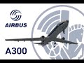 Airbus A300 From Dawn To Dusk KSP Stock Replica