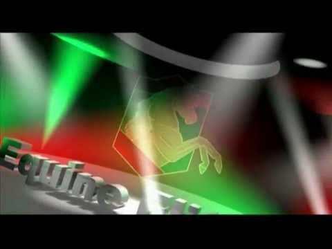 Equine Elite Coming Soon 31/10/2015