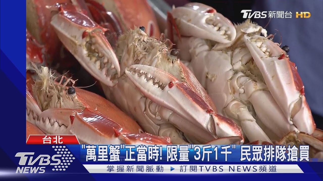 「萬里蟹」正當時!限量「3斤1千」 民眾排隊搶買