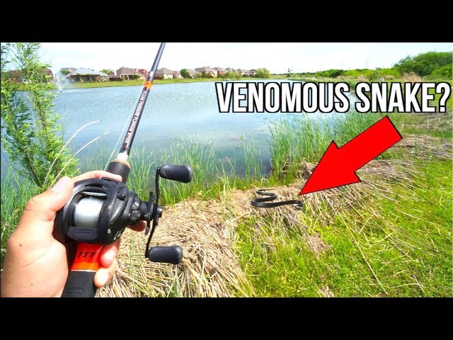 Pond Bass Fishing SNAKE Infested Waters