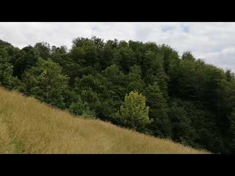 În cătunul Nicoresti, Comuna Sohodol, Alba