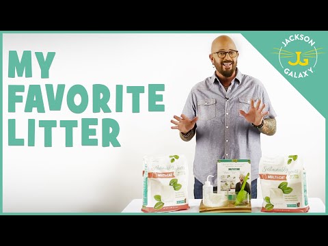 The Best Cat Litter out there = Sustainably Yours!
