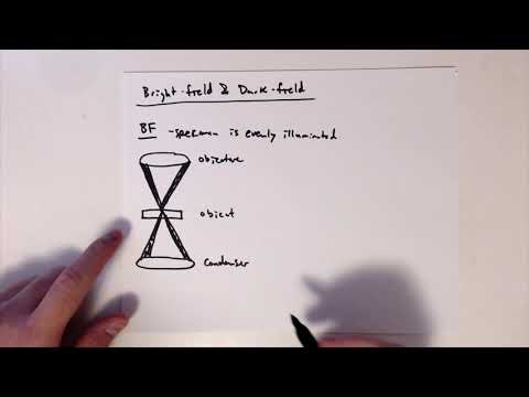 MSE585 F20 Lecture 5 Module 4 - Imaging Modes: Bright- and Dark-Field