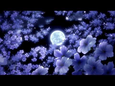 Daniel Gunnarsson ft Dinah Smith- Indiana Rose (slowed)