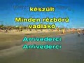 Arrivederci amore - Dolly Roll (KARAOKE) 