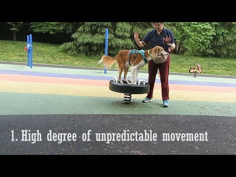 Quiz the saluki: Expert 1: 4ons