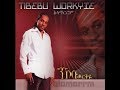 Tibebu Workiye - Zim (ዝም) 1999 E.C.