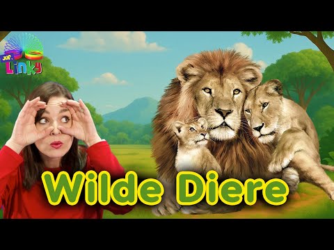 Wilde Diere Liedjie vir Kinders | Afrikaanse Kinderliedjies | Afrikaanse Kindervideos 