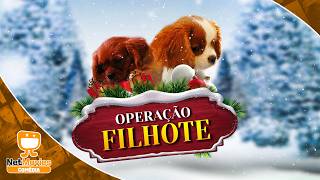 Operação Filhote