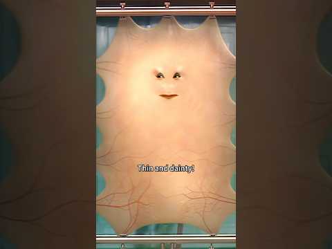 The last human on Earth.#shorts