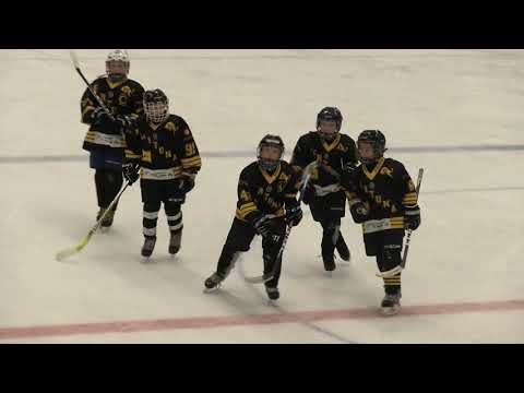 Pelicans Turkoosi - Fortuna Musta