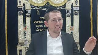 האם מותר לבקש מהנפטר שיעזור לי מול הקב"ה - דיני השתטחות על קברי צדיקים | הרב יוסף שכטר (קו ההלכה הספרדי) - התמונה מוצגת ישירות מתוך אתר האינטרנט יוטיוב. זכויות היוצרים בתמונה שייכות ליוצרה. קישור קרדיט למקור התוכן נמצא בתוך דף הסרטון האם מותר לבקש מהנפטר שיעזור לי מול הקב"ה - דיני השתטחות על קברי צדיקים | הרב יוסף שכטר (קו ההלכה הספרדי) - התמונה מוצגת ישירות מתוך אתר האינטרנט יוטיוב. זכויות היוצרים בתמונה שייכות ליוצרה. קישור קרדיט למקור התוכן נמצא בתוך דף הסרטון