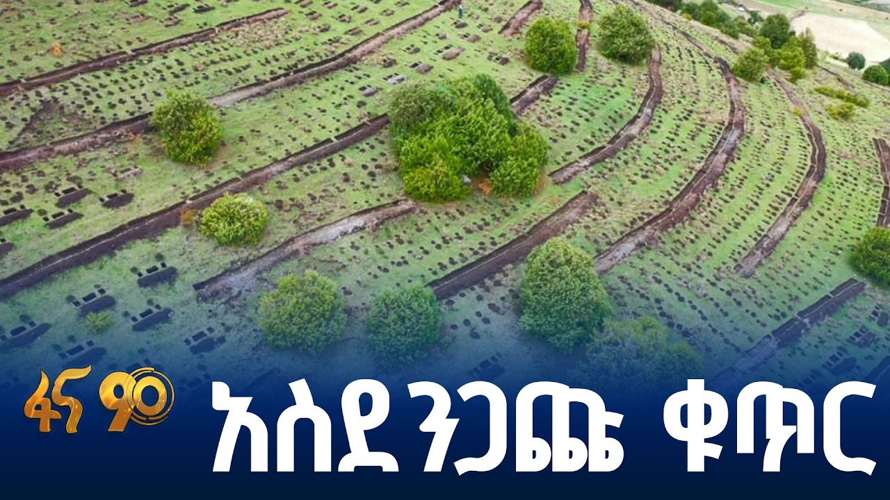 የአረንጓዴ ዐሻራ መርሐ -ግብር ማስጀመሪያ