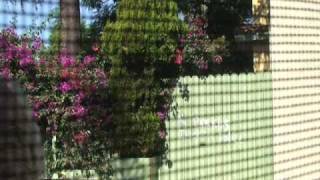 Response from Abused OLD MAN   (see it to believe it)