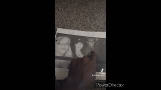 2017 suicidal female tried to kill me in her mother truck because I wouldn't rated r her