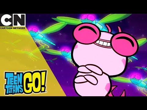 Teen Titans Go! | Silkie is Straight Buggin' | Cartoon Network
