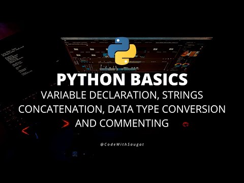 Python Basics Variable Declaration Strings Concatenation Data Type Conversion And Commenting 2