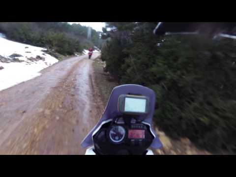 Sunny Aragon 9.03.2016