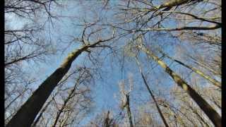preview picture of video 'Samtenser Waldspaziergang - GoPro auf der Eieruhr'