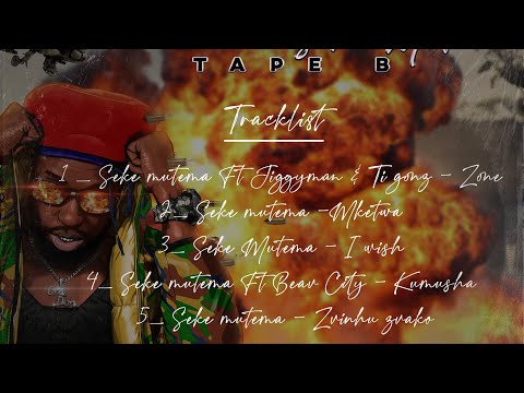 Seke Mutema Ft Jiggyman & Ti Gonz - Zone