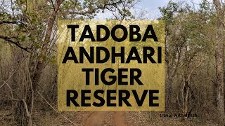 preview picture of video 'Tadoba Andhari Tiger Reserve'