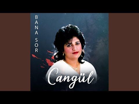 Video Yükleniyor...