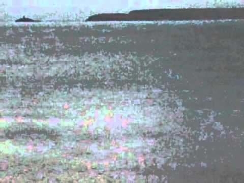 Malcolm Joseph Im your eyes feat Mikey Red