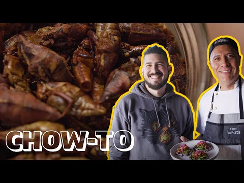 How to Cook and Eat Grasshoppers | CHOW-TO — Make It #WithMe