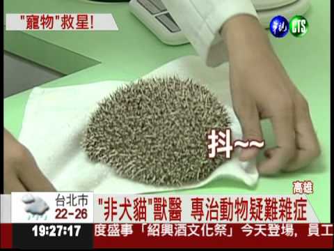 "非犬貓"獸醫院 專治疑難雜症