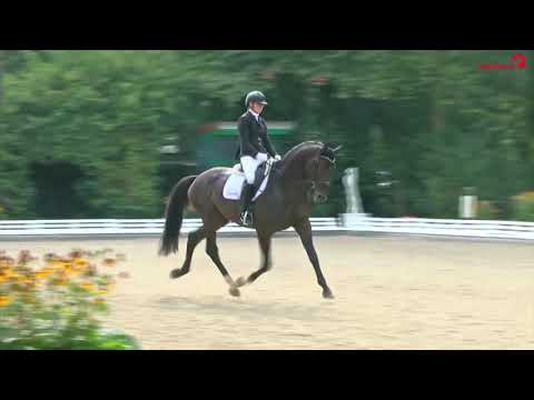 Fellini Billerbeck 18