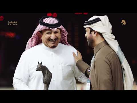 KIAHF AUCTION 2024 - The Aftermovie