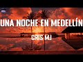 Cris Mj Una Noche En Medellín Letra Musica