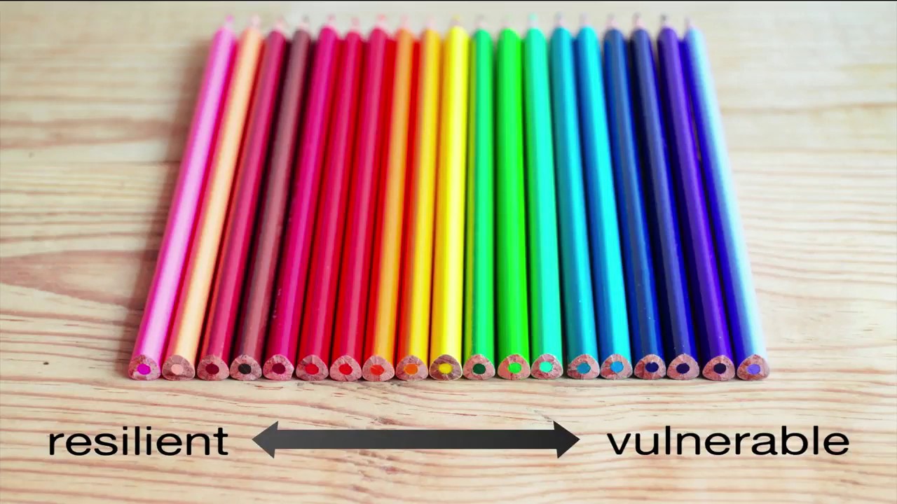 3.2.2 Introduction to Urban Resilience