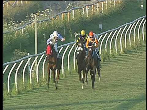 Galoppo 05/07/2017 - 5ª corsa