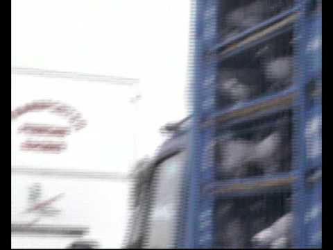 CENAD 2 D CARAS SEVERIN