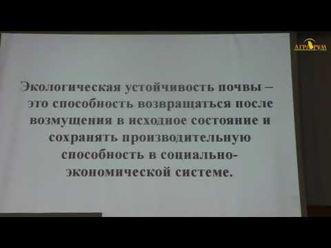 Результаты применения технологии прямого посева в сравнении с традиционной системой в Крыму