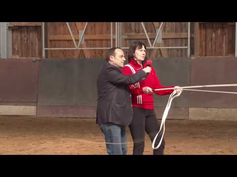 Voltigieren auf Grand Casino Basel