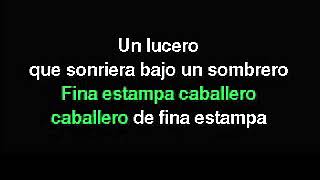 FINA ESTAMPA  KARAOKE  CANTALA COMO LUCHA VILLA