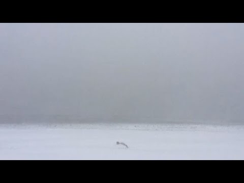 Winthrop Shore Drive slammed by storm