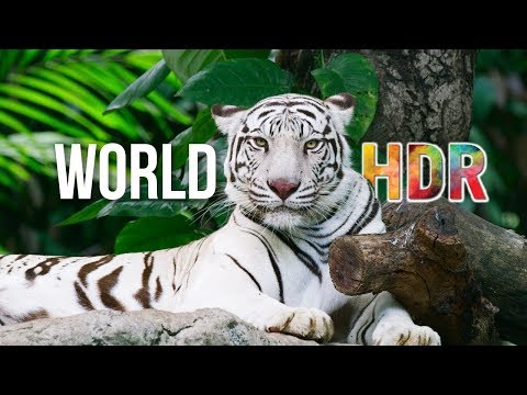 The World in HDR in 4K (ULTRA HD)