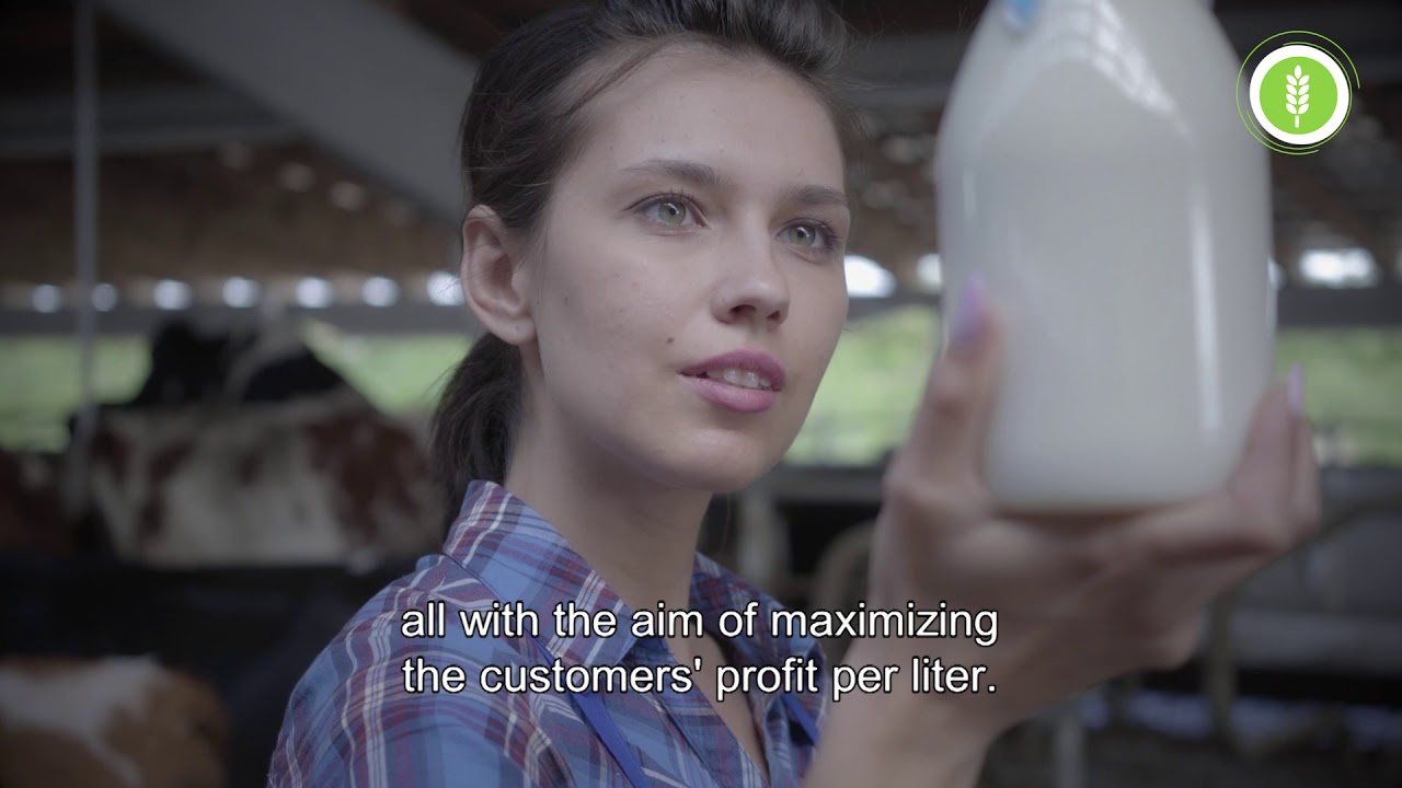 Project Bar Group - Our future